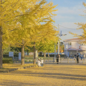 美女脱内内无马赛克网站
