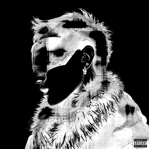 美女脱内内无马赛克网站
